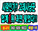 �渶 ������ �����