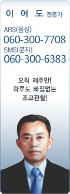 �渶 ������ �̾ 