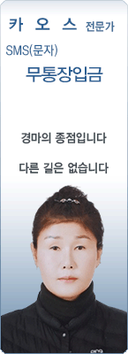 �渶 ������ ī���� 