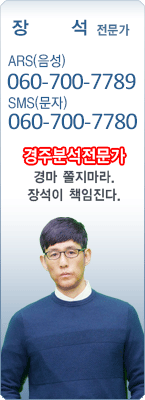 �渶 ������ �弮 