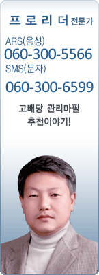 �渶 ������ ���θ��� 